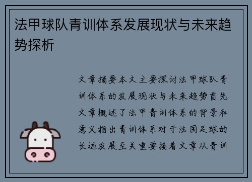 法甲球队青训体系发展现状与未来趋势探析