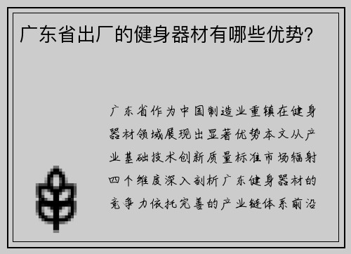 广东省出厂的健身器材有哪些优势？